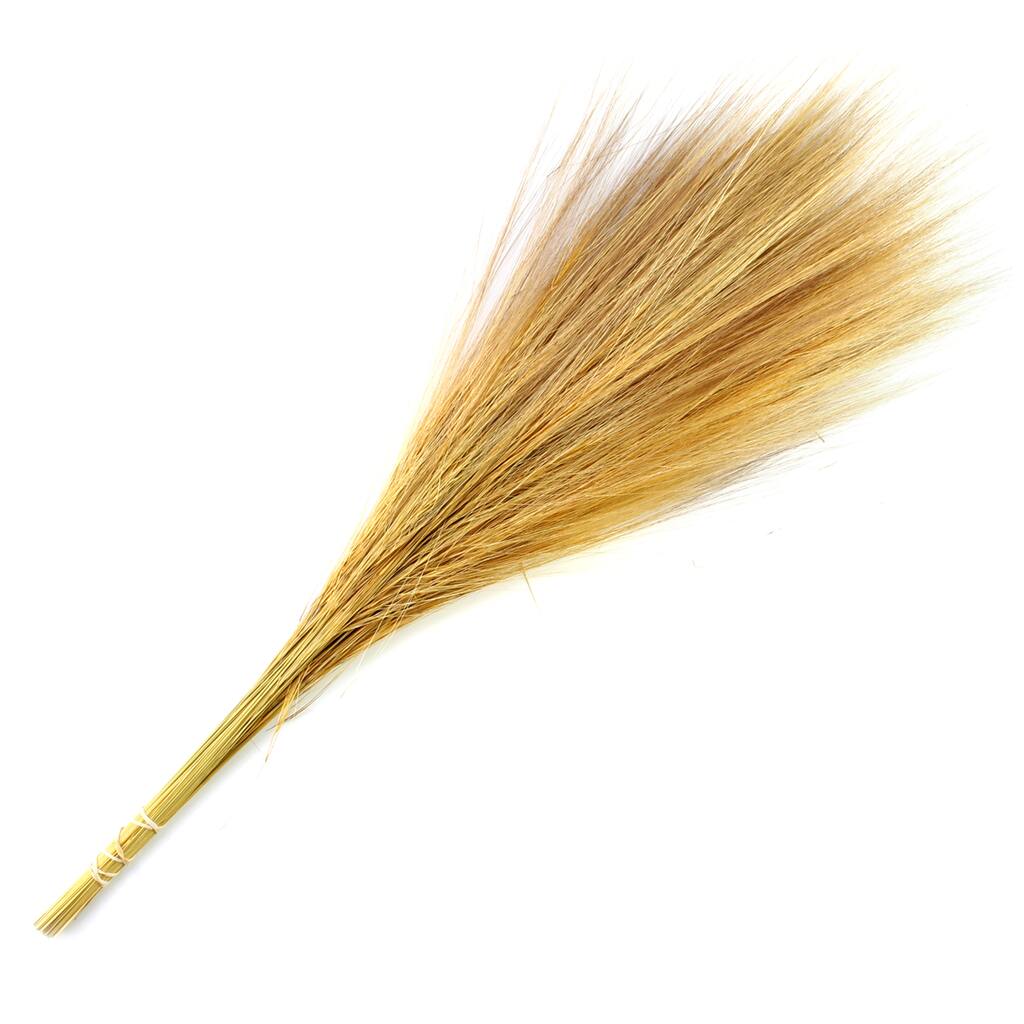 10454347.jpg img